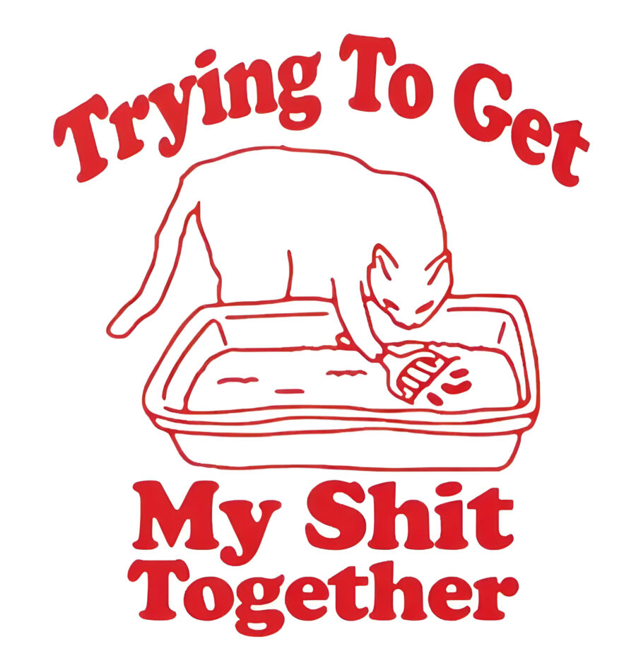 2b1d71ee-07fe-421f-a1ab-ddcdc9146b60 Tryna Get My Sh*t Together - Oversized T-Shirt