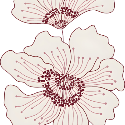 687911 Soft Bloom - Ringer T-Shirt