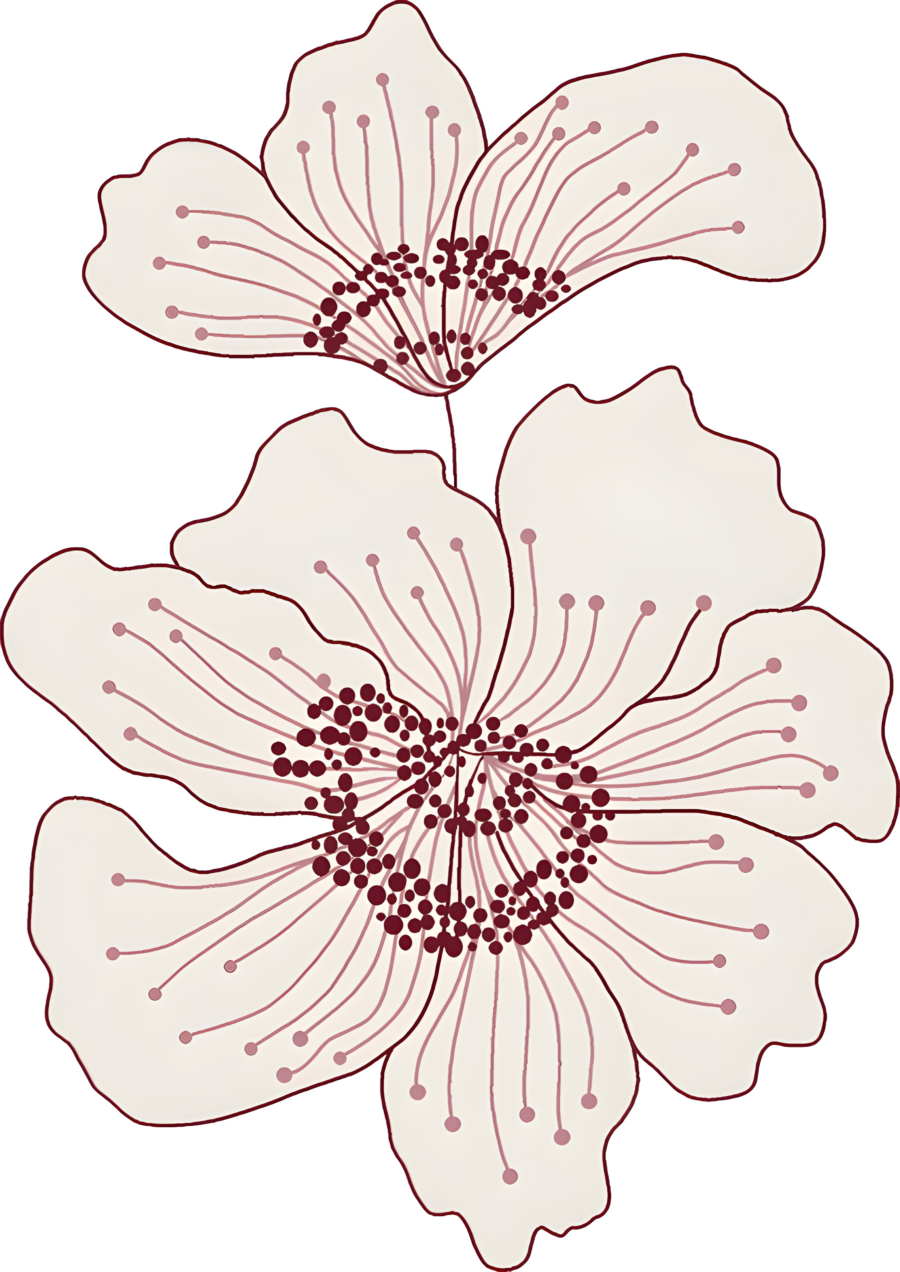 687911 Soft Bloom - Ringer T-Shirt